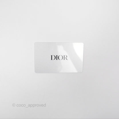 Christian Dior Mini Dior Book Tote Latte Macrocannage Calfskin Gold Hardware