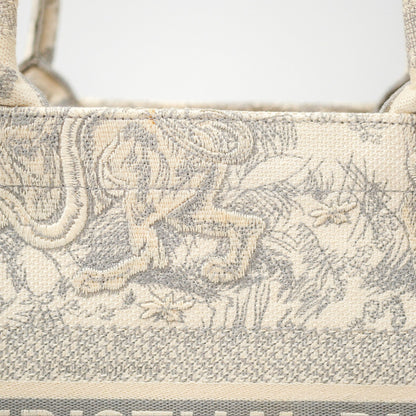Dior Medium (Old Small) Embroidered Toile De Jouy Book Tote Light Grey Canvas