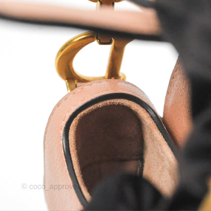 Christian Dior Micro Saddle Bag Rose des Vents Goatskin Gold Hardware
