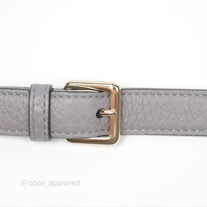 Christian Dior Medium Diorama Calfskin Flap Bag Grey Gold Hardware