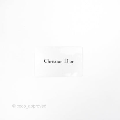 Christian Dior Medium Lady Dior Blush Ultramatte Cannage Calfskin