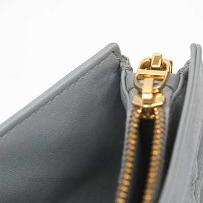 Christian Dior Dior Caro Every Dior Pouch Stone Gray Cannage Calfskin