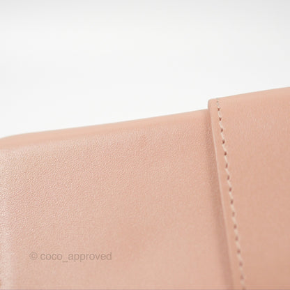 Christian Dior 30 Montaigne Beige Calfskin Box Bag