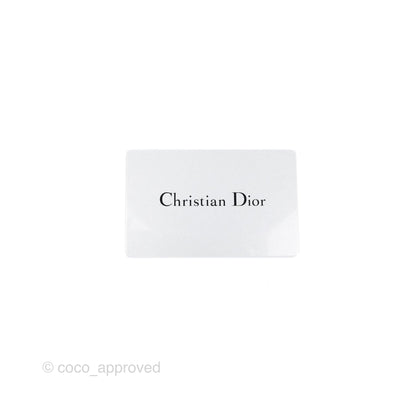 Christian Dior Cannage Mini Lady Dior Black Silver Hardware