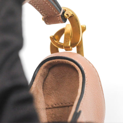 Christian Dior Micro Saddle Bag Rose des Vents Goatskin Gold Hardware