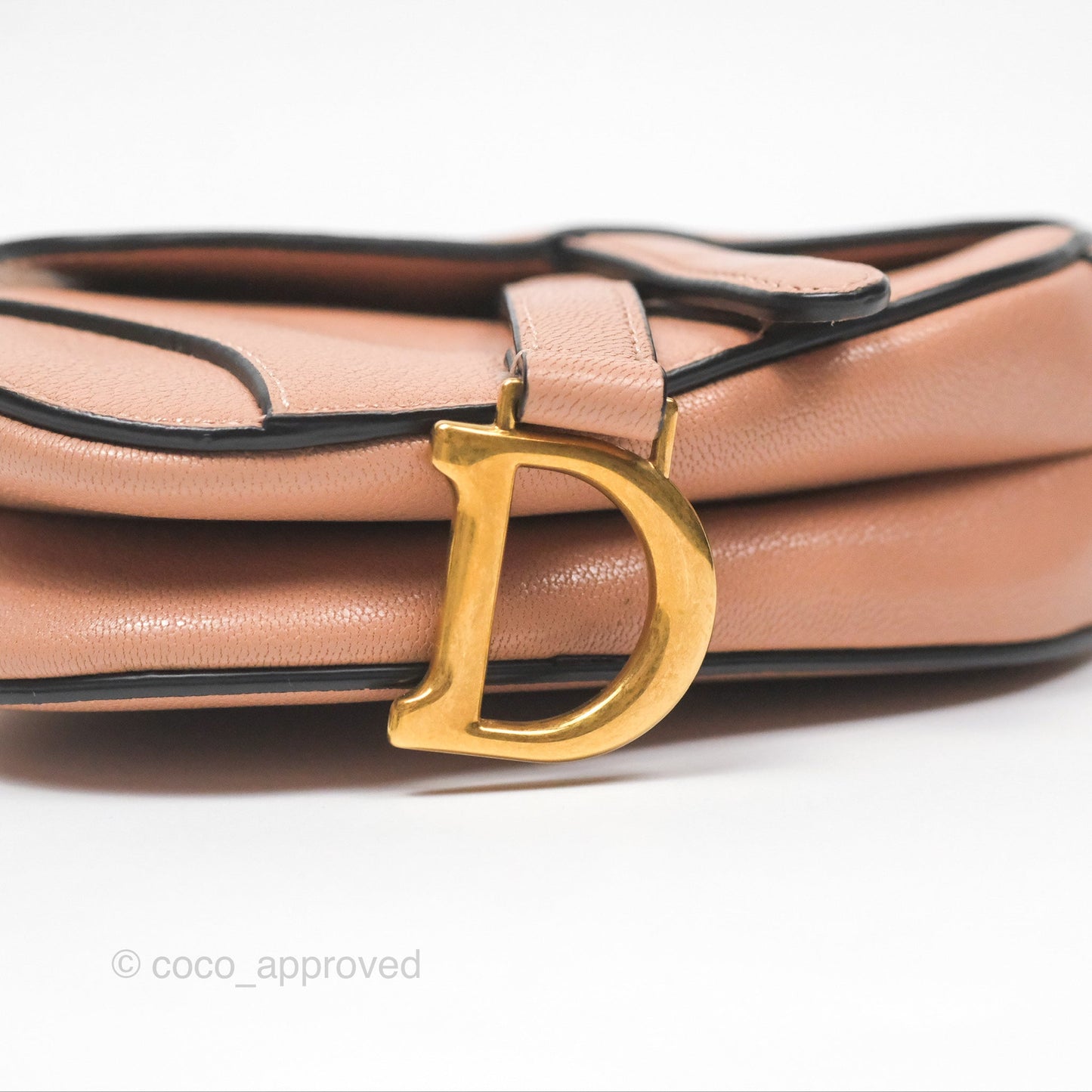 Christian Dior Micro Saddle Bag Rose des Vents Goatskin Gold Hardware