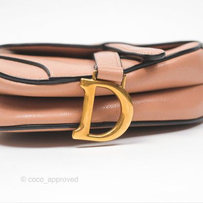 Christian Dior Micro Saddle Bag Rose des Vents Goatskin Gold Hardware