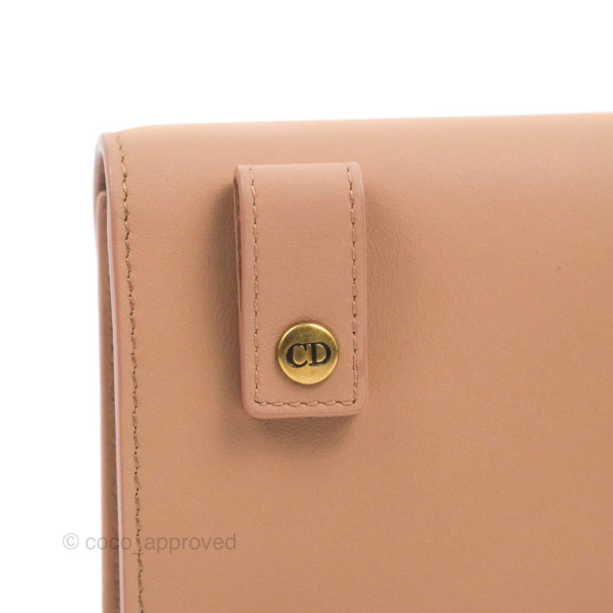 Christian Dior Saddle Belt Pouch Dusty Pink Matte Calfskin Gold Hardware