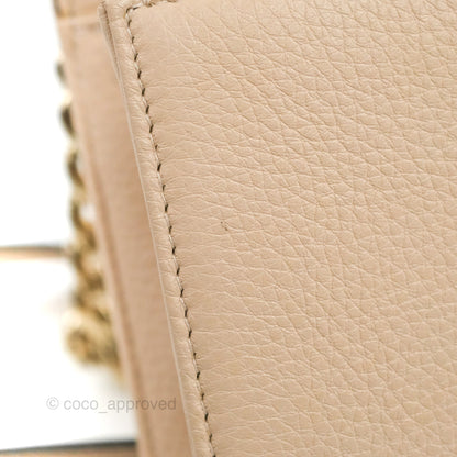 Christian Dior Small Diorama Calfskin Flap Bag Nude Pink Gold Hardware