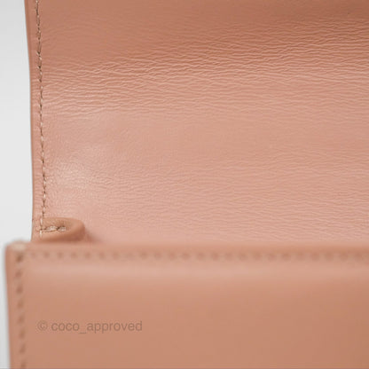 Dior Micro 30 Montaigne Flap Bag Rose Des Vents Calfskin