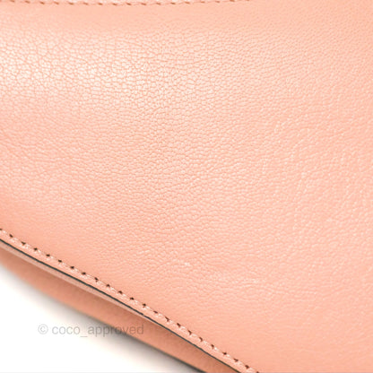 Christian Dior Mini Saddle Bag Pink Goatskin Gold Hardware