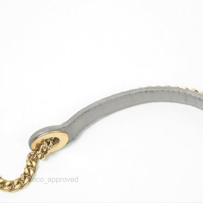Christian Dior Mini Lady Dior Iridescent Light Grey Cannage Lambskin Gold Hardware