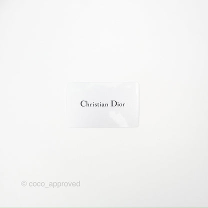 Christian Dior 30 Montaigne Box Bag Grey Calfskin