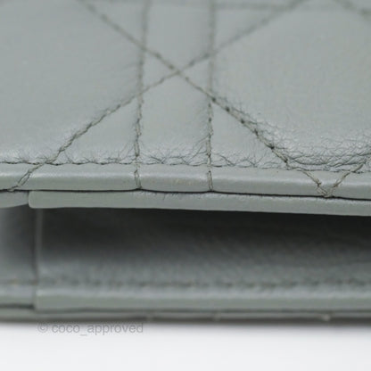 Christian Dior Dior Caro Every Dior Pouch Stone Gray Cannage Calfskin