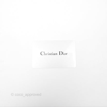 Christian Dior Medium (Old Small) Embroidered Toile De Jouy Light Grey Canvas Book Tote