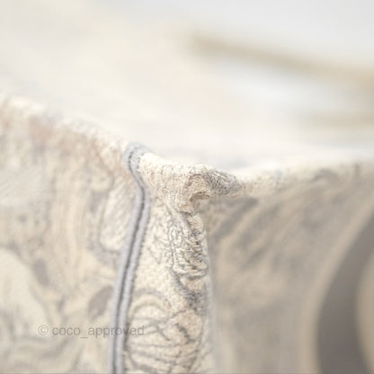 Dior Medium (Old Small) Embroidered Toile De Jouy Book Tote Light Grey Canvas