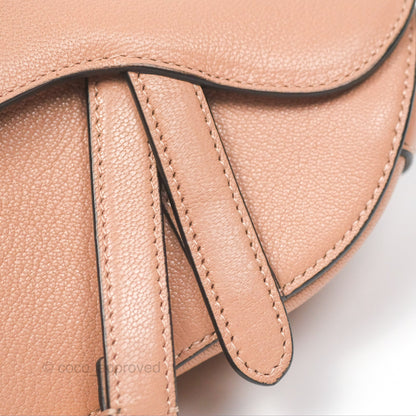 Christian Dior Micro Saddle Bag Rose des Vents Goatskin Gold Hardware
