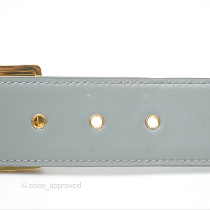 Christian Dior 30 Montaigne Box Bag Grey Calfskin