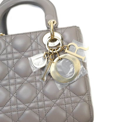 Christian Dior Lambskin My ABCDior Lady Dior Grey Gold Hardware