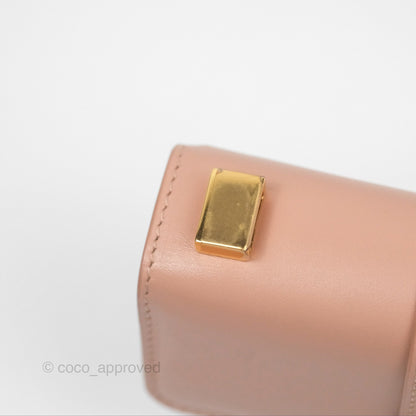 Dior Micro 30 Montaigne Flap Bag Rose Des Vents Calfskin