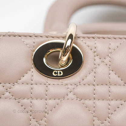 Christian Dior Medium Lady D-Joy Bag Warm Taupe Lambskin Gold Hardware