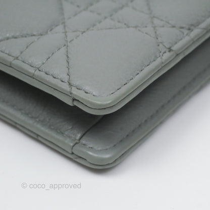 Christian Dior Dior Caro Every Dior Pouch Stone Gray Cannage Calfskin