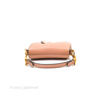 Christian Dior Micro Saddle Bag Rose des Vents Goatskin Gold Hardware