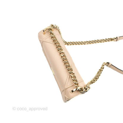 Christian Dior Small Diorama Calfskin Flap Bag Nude Pink Gold Hardware
