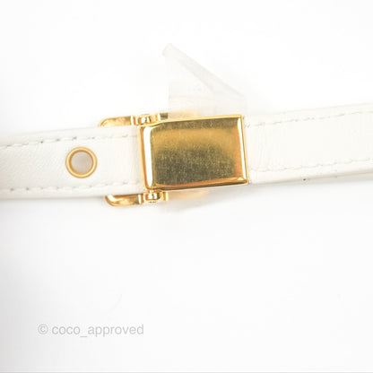 Dior Small Caro Bag Latte Lucky Star White Cannage Lambskin
