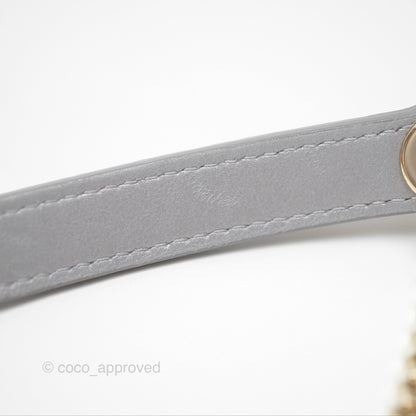 Christian Dior Lambskin Cannage Mini Lady Dior Iridescent Grey Gold Hardware