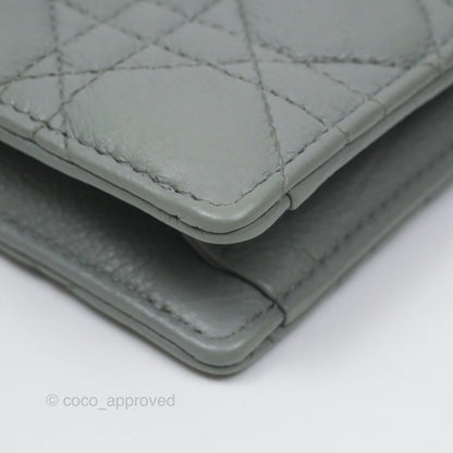 Christian Dior Dior Caro Every Dior Pouch Stone Gray Cannage Calfskin
