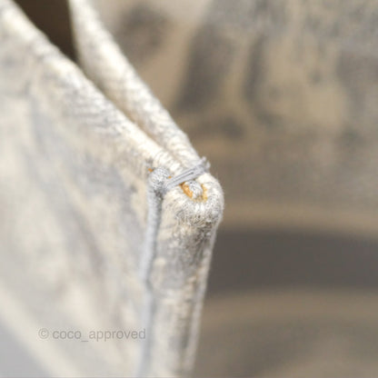 Christian Dior Medium (Old Small) Embroidered Toile De Jouy Light Grey Canvas Book Tote