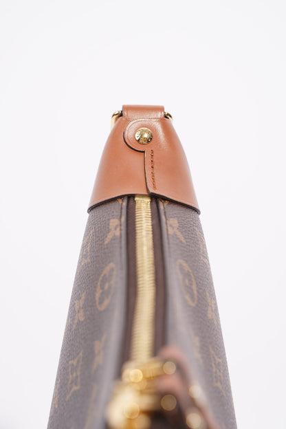 Louis Vuitton Womens Loop Hobo Bag Monogram