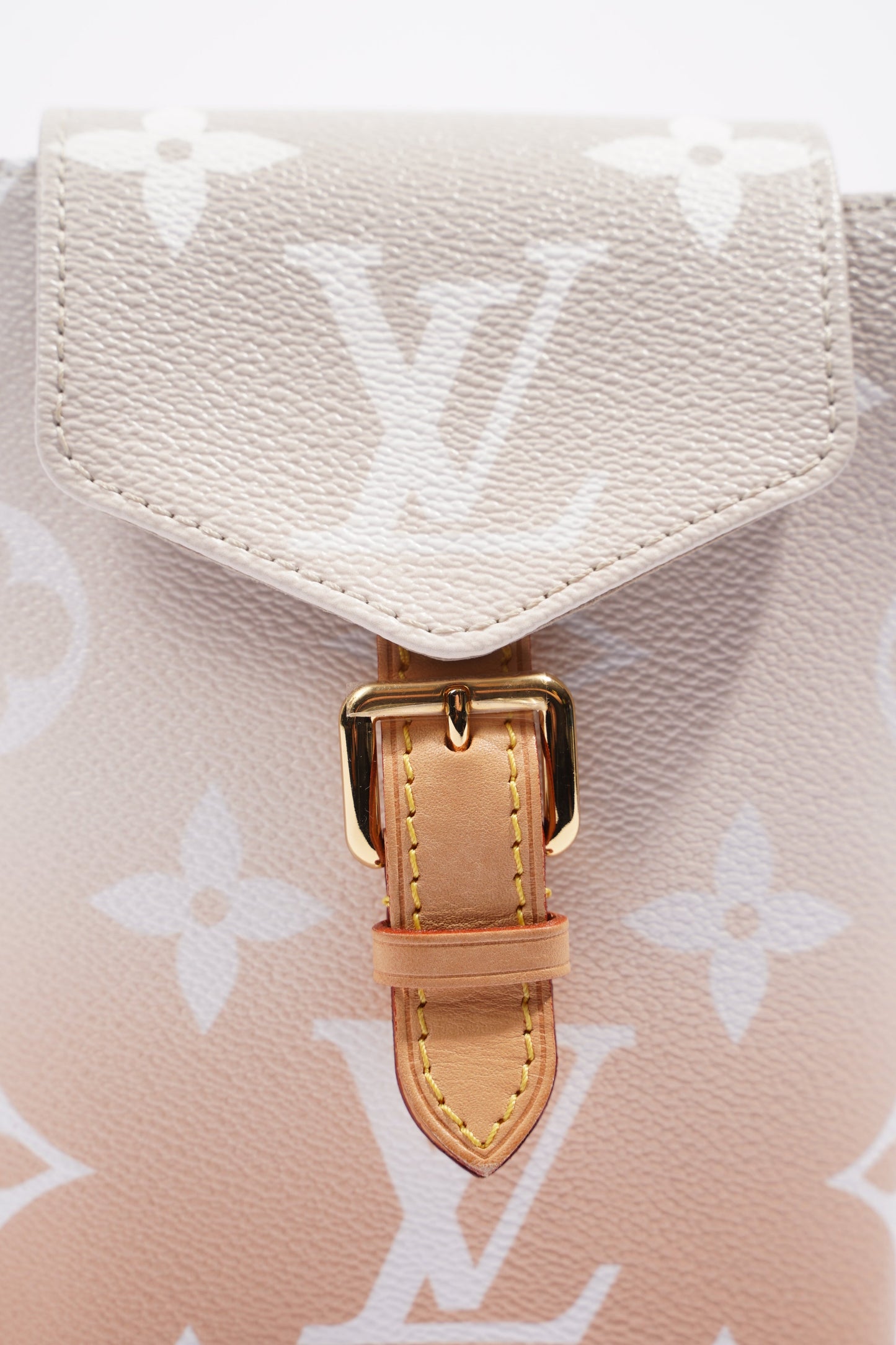 Louis Vuitton Womens Tiny Backpack By The Pool
