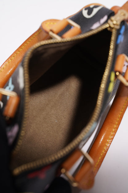 Louis Vuitton Womens Speedy Handbag Murakami Monogram Canvas Nano