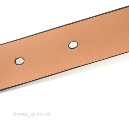 Dior Saddle Belt Sand Pink Ultrasmooth Calfskin Antique Gold