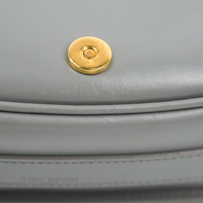 Christian Dior Medium Bobby Flap Stone Grey Box Calfskin