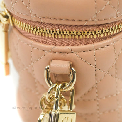 Christian Dior Micro Lady Dior Vanity Case Pink Cannage Lambskin