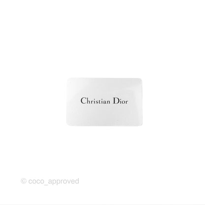 Christian Dior Saddle Bag Blush Ultramatte Calfskin