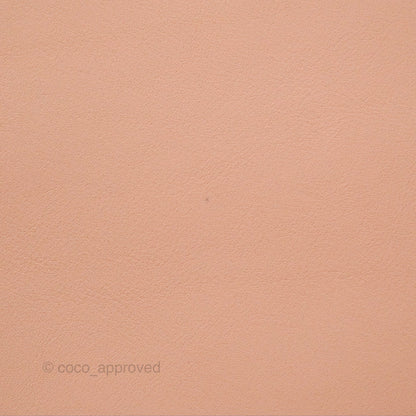 Christian Dior Saddle Bag Blush Ultramatte Calfskin