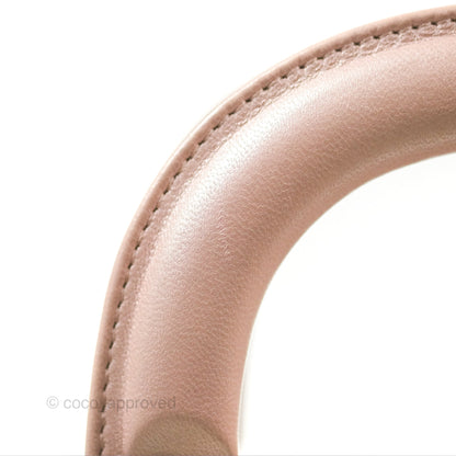 Christian Dior Mini Lady Dior Iridescent Light Pink Cannage Gold Hardware