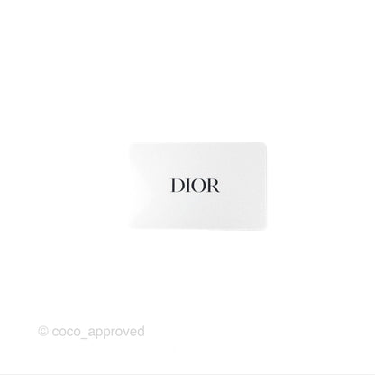 Christian Dior Bobby East-West Bag Blue Oblique Jacquard Canvas