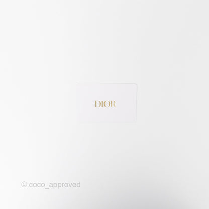 Dior Small Dior Book Tote Black Macrocannage Calfskin Gold Hardware