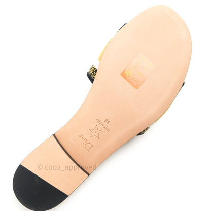 Christian Dior Canvas Embroidered Kaleidioroscopic Mules Slide Sandals 36