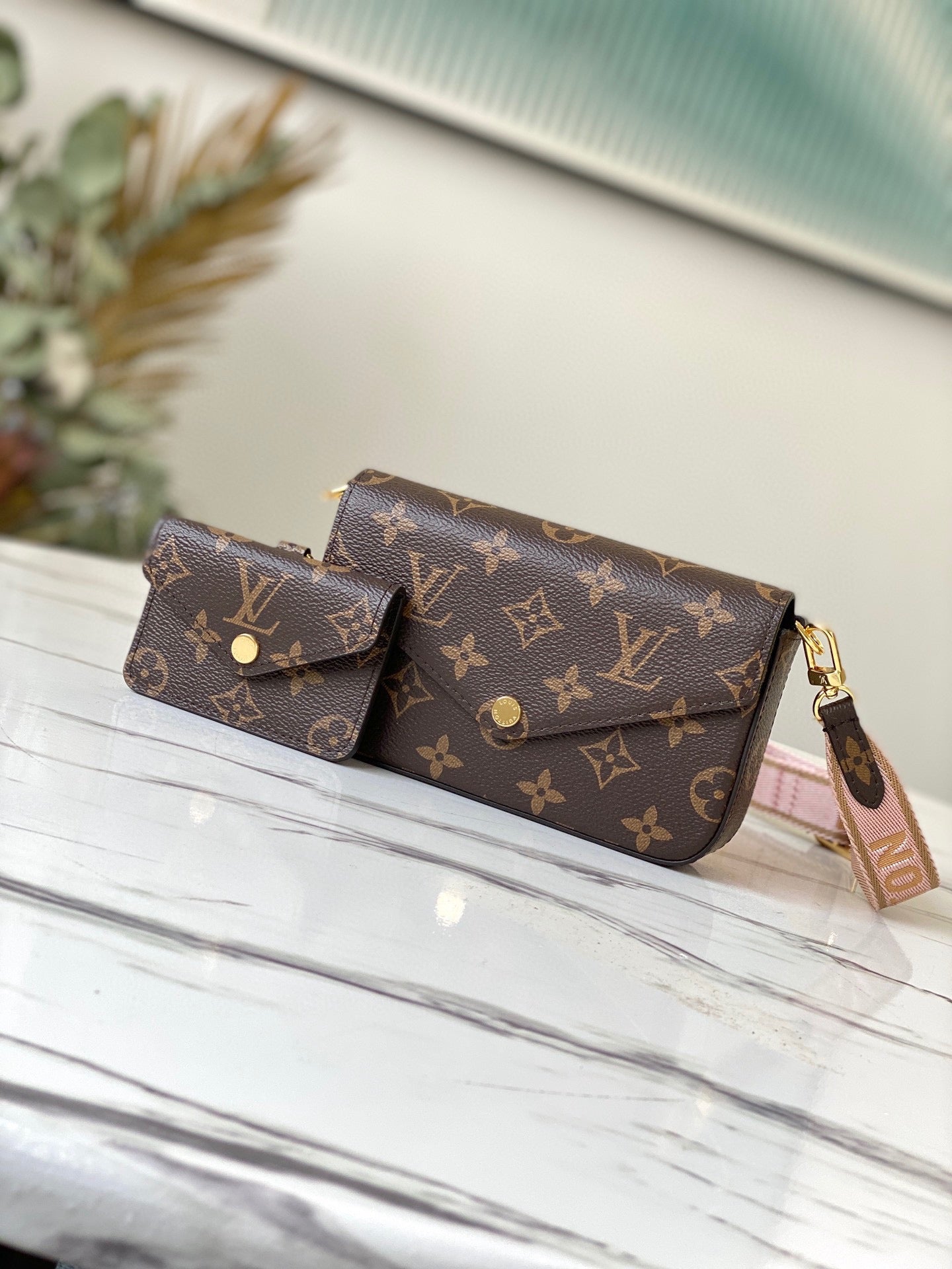 Louis Vuitton Felicie Strap & Go Bag