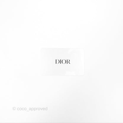 Christian Dior Micro Lady Dior Cannage Rose Des Vents Cannage Lambskin Gold Hardware