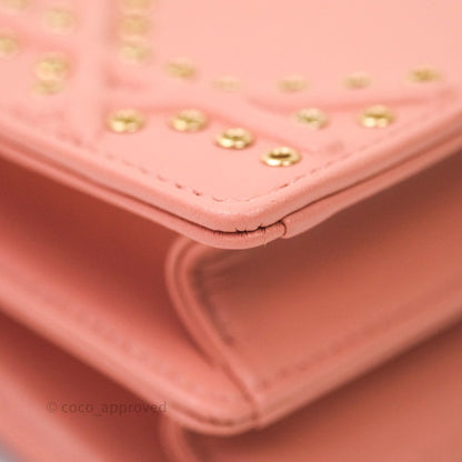 Christian Dior Lambskin Studded Vertical Diorama Dust Candy