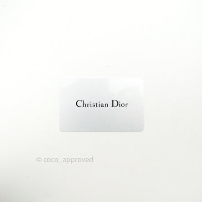 Christian Dior Lambskin My ABCDior Lady Dior Fard Gold Hardware