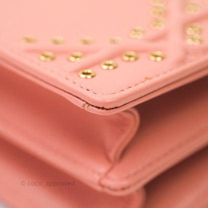 Christian Dior Lambskin Studded Vertical Diorama Dust Candy